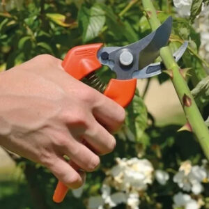 Tijera De Poda De Mano Bahco Pg-12-f Para Jardin - Imagen 5